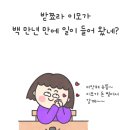 뚱이이모 이미지