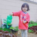 은빛농장 이미지