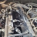 애니카랜드 대저점 이미지