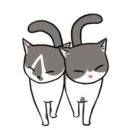 누리동물병원 이미지