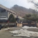 퍼피랜드 이미지