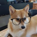 애드자인