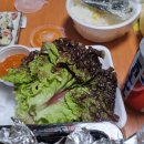진도야족발보쌈 이미지