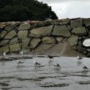 어류정낚시터 이미지