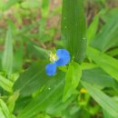 지엔에스디(주) 이미지