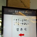 워너비 도원카 서비스 | 26년 결혼 예비부부의 웨딩홀투어 '인터불고 vs 수성호텔' 주관적 느낌, 장단점 및 견적 시원하이 공개!