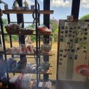 차진열농장 이미지