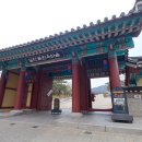 종로-종로-종로-종-320 | 충무로 남산골 한옥마을 관람 후기! (4. 2. 벚꽃 개화 상황)