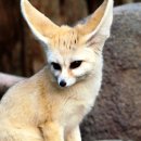 아이윌24시동물병원 이미지