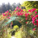 즐거운요양병원 이미지