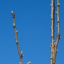 정류장약국 이미지