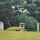 (주)성지여행 이미지