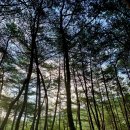 수리덤캠핑장 이미지