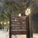 대관령팝업하우스 | 겨울가볼만한곳 휘닉스파크 스노우빌리지 스카이 스탠다드 더블 핑구콜라보 눈썰매장 후기