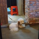 72420 송파직영점