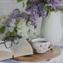경기안경콘택트 네이버블로그