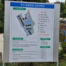 전남 곡성 온수풀 수영장 글램핑장 &#39;벅스글램핑&#39;