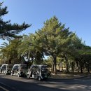 중문골프장CC | 제주도 골프장 중문CC 라운딩 후기 | 양잔디·넓은 페어웨이·그늘집 고기국수까지 솔직 리뷰