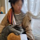 삼색이동물병원 이미지