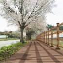 누리길 2 이미지