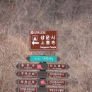 영주DD Daum카페