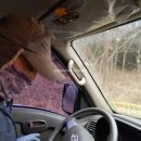 하민농장 이미지