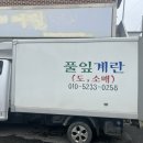 풀잎계란 네이버블로그