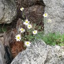 서산갯마을산악회, 제122차 정기산행(설악산 울산바위 &amp; 속초 아바이마을) 이미지