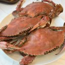 영종도 꽃게찜 영종관광어시장 나루터수산 꽃게 1kg 3만원 먹고 온 내돈내산 후기