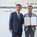 와이로직스