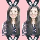 강아지를 미용하는 여자 네이버블로그