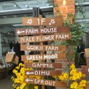 선팜하우스 이미지