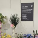 (주)다원화학 네이버블로그
