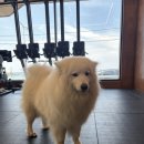 바솔트크로스핏 | [제주] 바다뷰 즐기며 운동 '바솔트 크로스핏' 방문 후기!