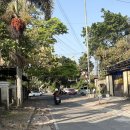 부르멍 펫택시 | 혼자 자유여행 : 7일차 / 말랑 마지막날 부부르 아얌Bubur ayam 맛집, Roewang Tamoe coffe, 수라바야...