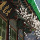 수정사 이미지
