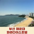 오션빌딩 | 부산 해운대 파라다이스 신관 아넥스빌딩 디럭스룸 오션뷰 조식 완벽 호캉스 후기
