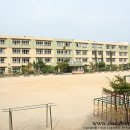 주학초등학교 Daum카페