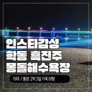 흑진주 | 🌑 요즘 인스타에서 핫해요! 거제 학동 흑진주 몽돌해수욕장 산책 후기