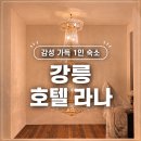 강릉역 근처 1인 숙소｜호텔 라나 205호 후기
