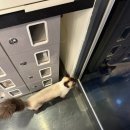 마벨네일 이미지