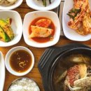 초록애보성녹돈