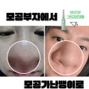 그린프로모션