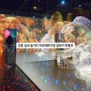 하늘토끼 | 강릉 실내 놀거리 강원도 이색 데이트 코스 볼거리 아르떼뮤지엄 달토끼 특별전
