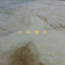 스타세탁·수선 이미지