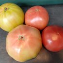 선산이용소 이미지