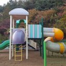 동명초교병설 이미지