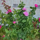 현대배관 이미지