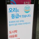호세야오리바베큐위례점