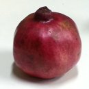 부산예술고등학교 이미지